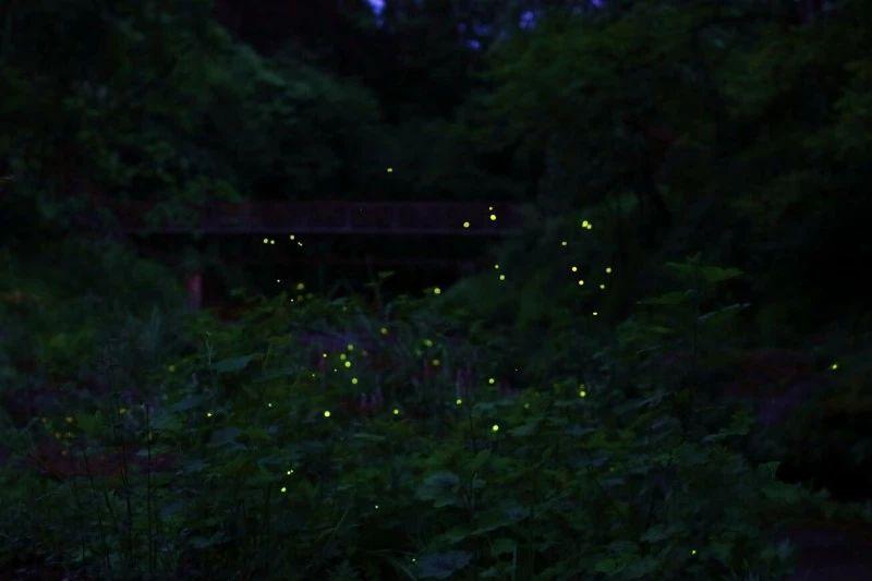 逃离木质小屋